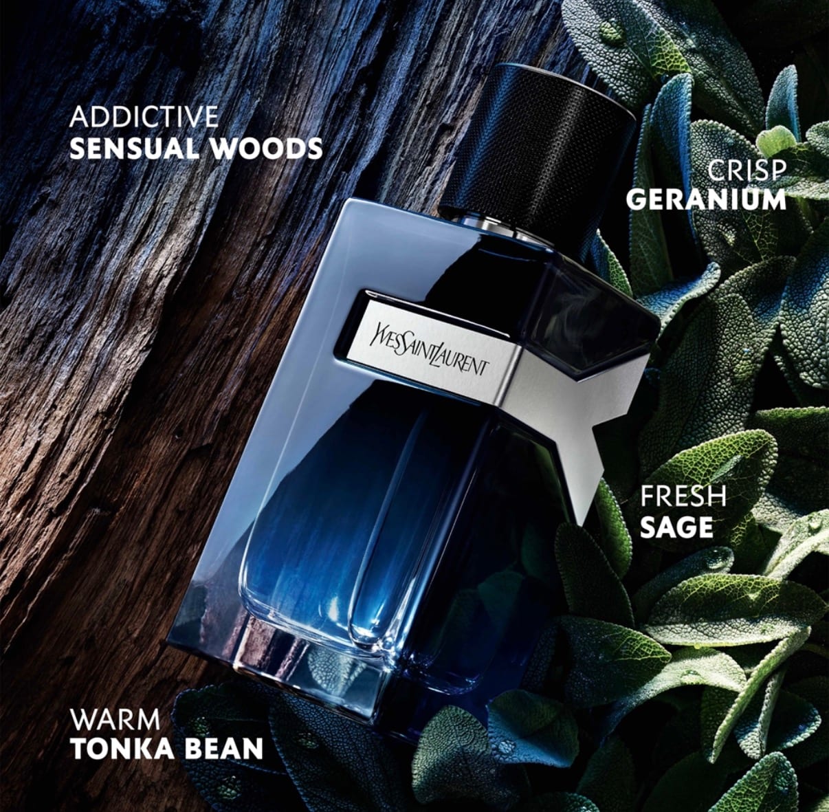 Yves Saint Laurent Y 10 ml